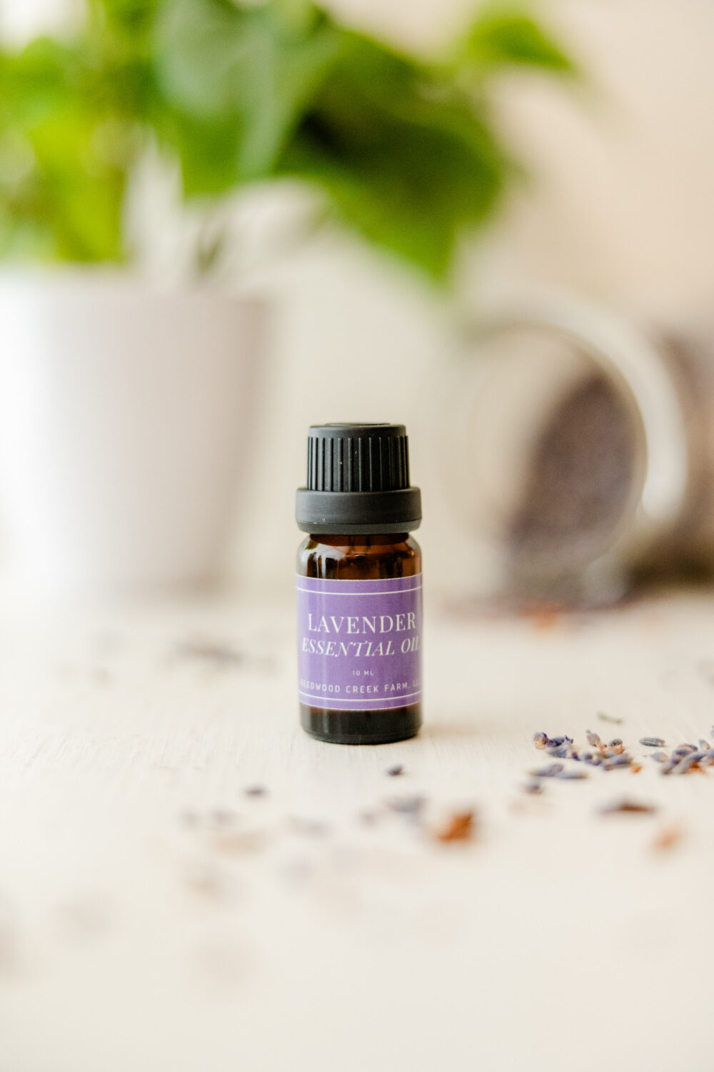 Image of 10 ml bottle of Lavender Essential Oil on white table with green plant in background