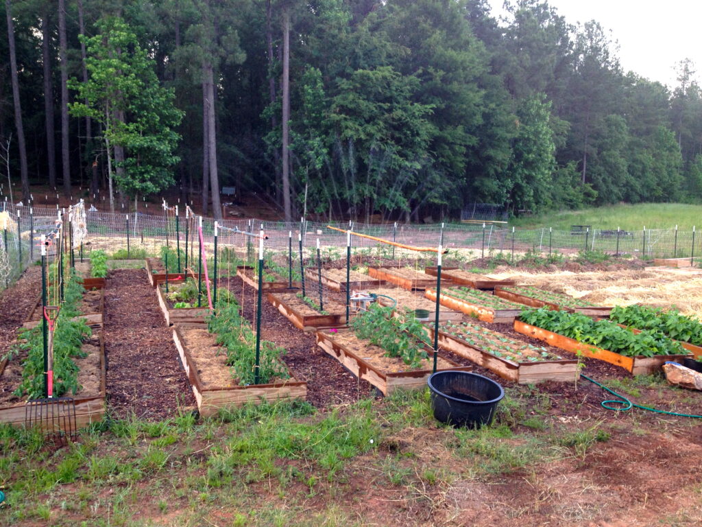 big garden in the country