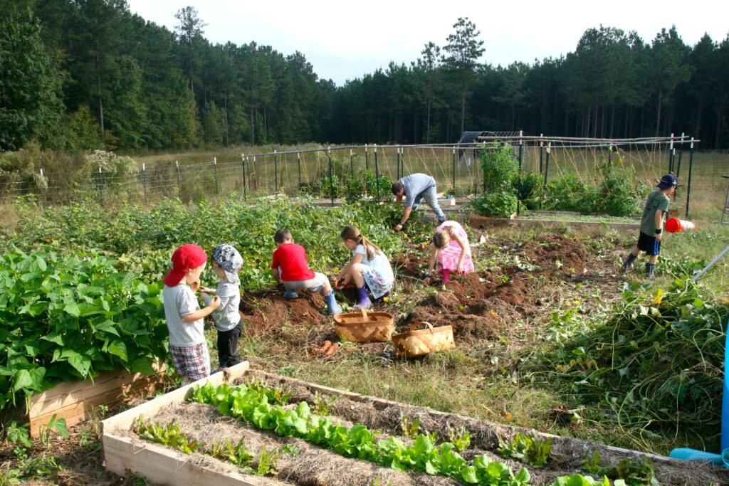 big family working together in garden in the country