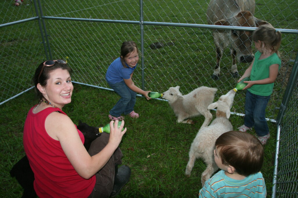 Family bottle feeds baby lambs