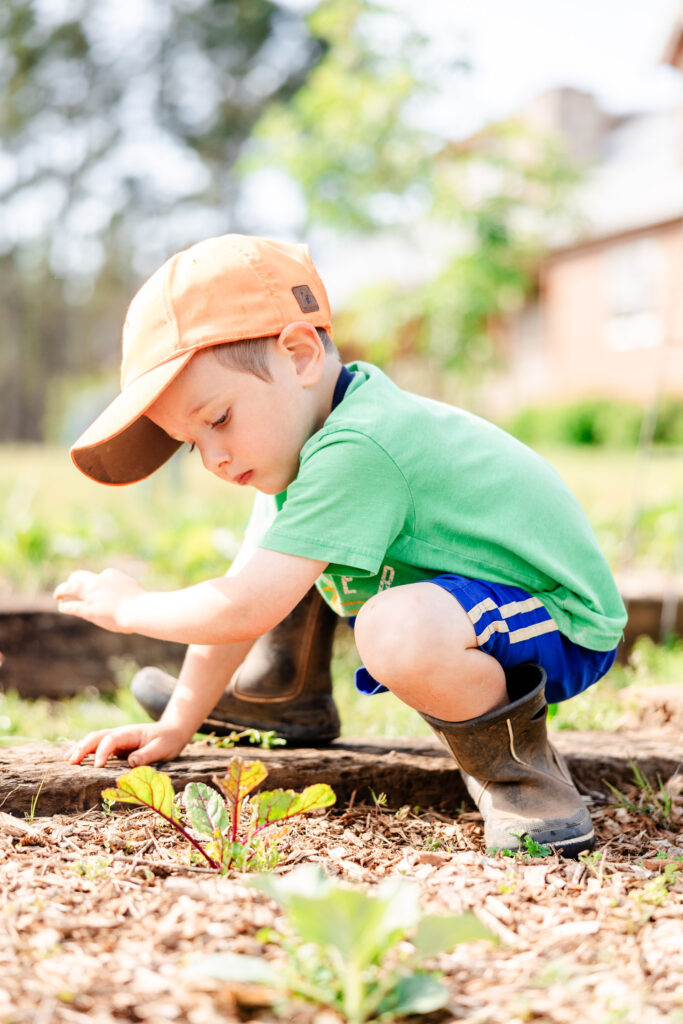 Little boy working in garden
