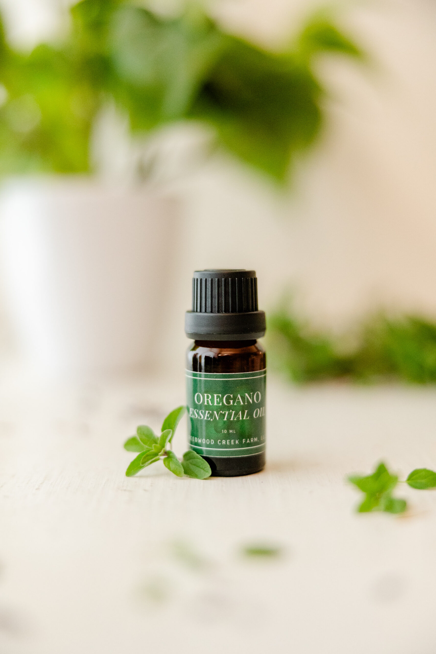 Image of 10 ml bottle of Oregano Essential Oil on white table with house plant in background