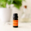 Image of 10 ml bottle of Organic Sweet Orange Essential Oil on white table with green plant in background