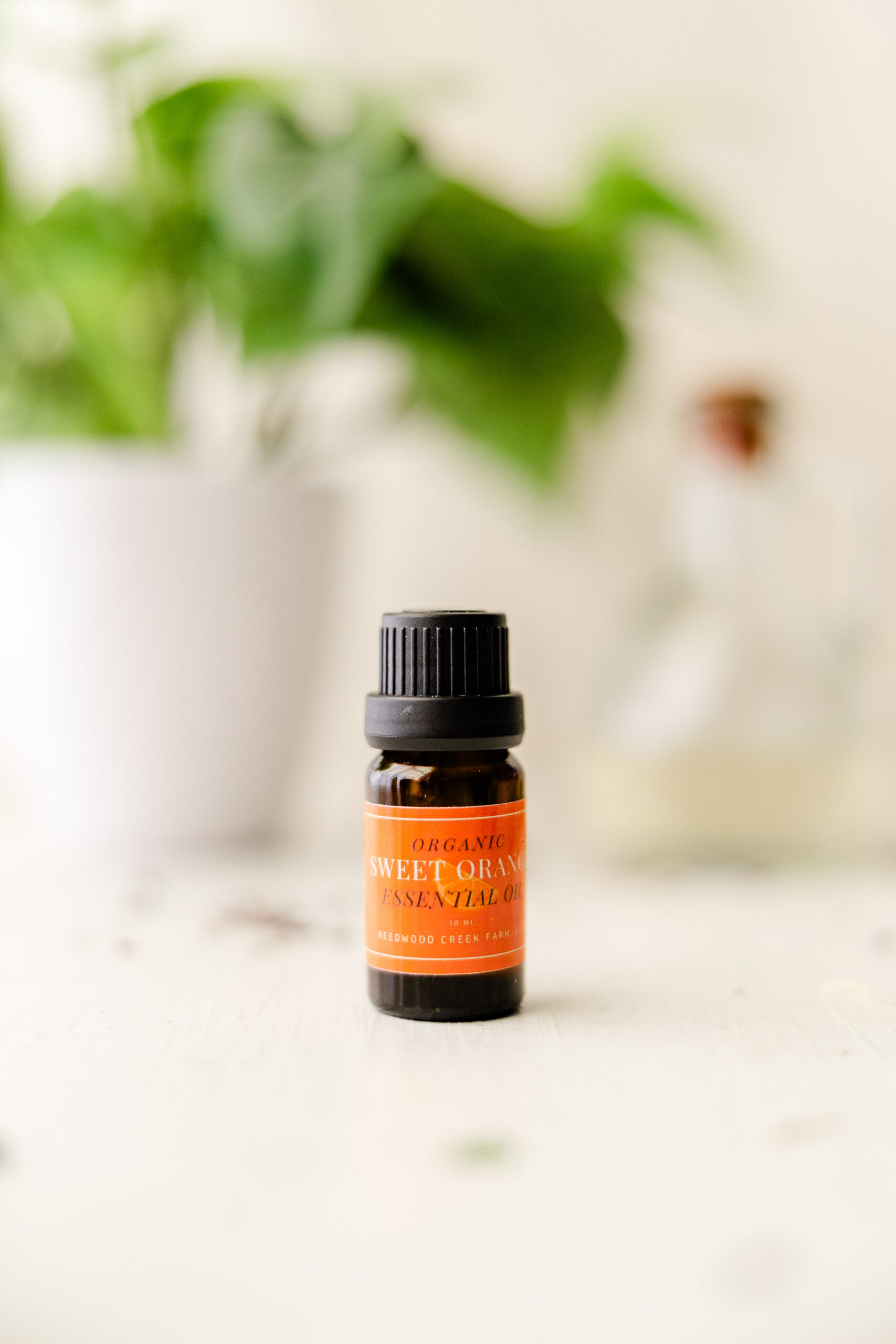 Image of 10 ml bottle of Organic Sweet Orange Essential Oil on white table with green plant in background