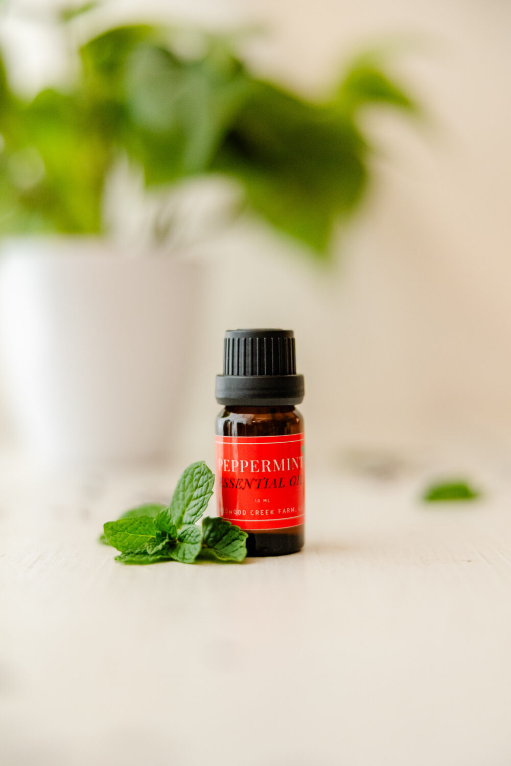 Image of 10 ml bottle of Peppermint Essential Oil on white table with house plant in background