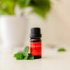 Image of 10 ml bottle of Peppermint Essential Oil on white table with house plant in background