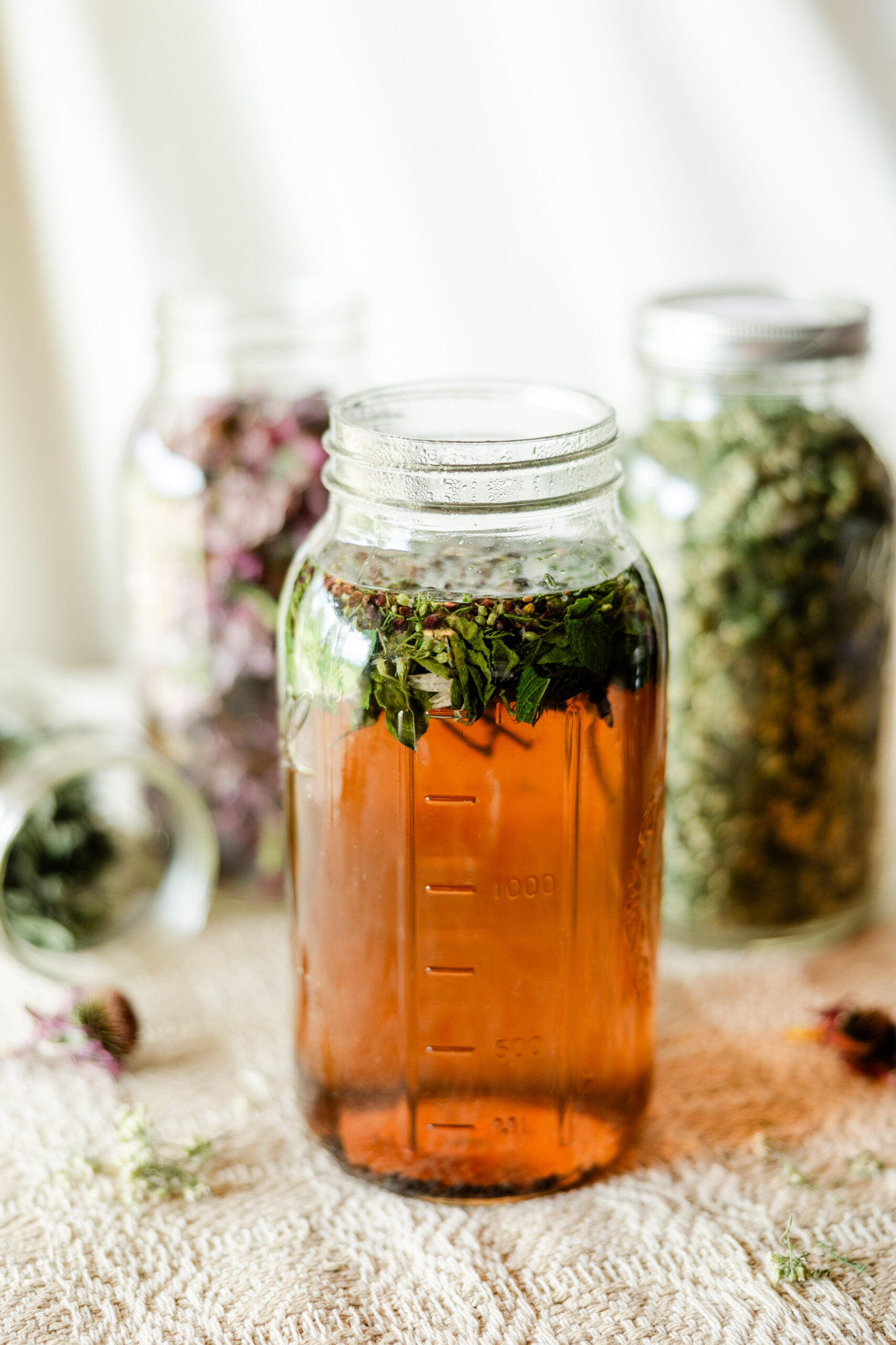Easy Elderberry Echinacea Immune-Boosting Tea