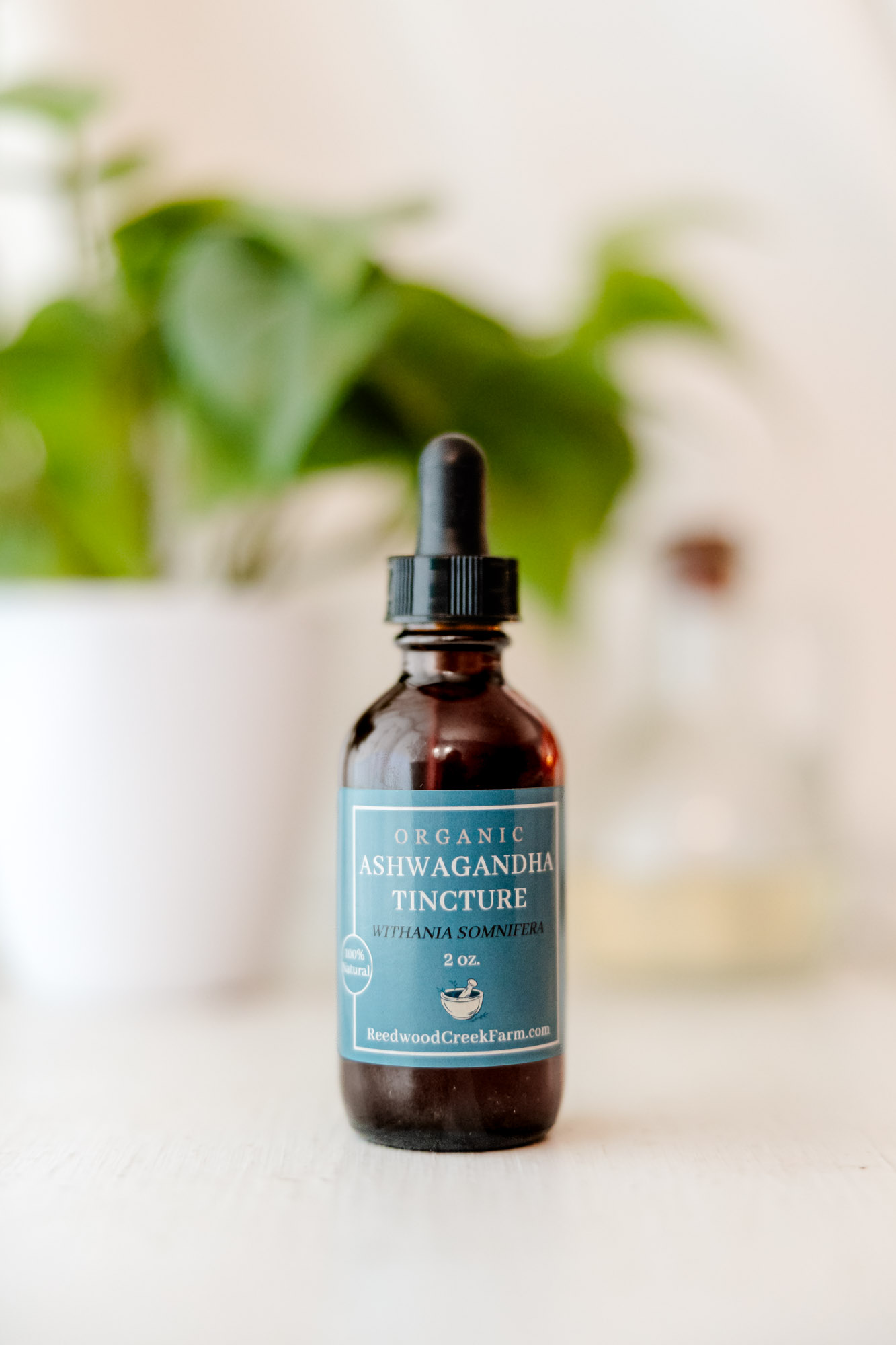 Image of Ashwagandha Tincture in 2 oz Amber Glass Bottle on White table with houseplant in background