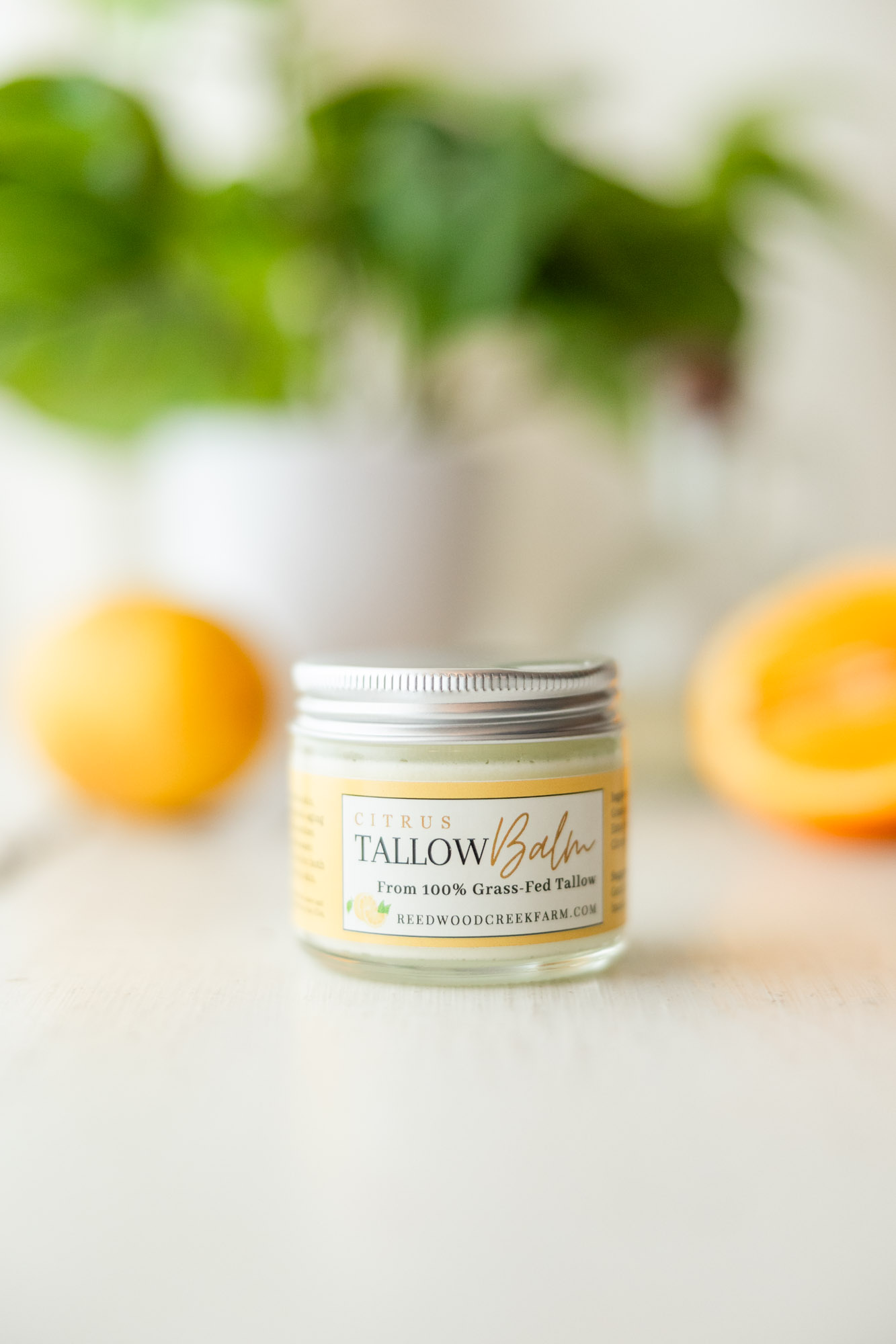 Image of Citrus Tallow Balm in Glass Jar on White Table with Lemons and oranges in Background