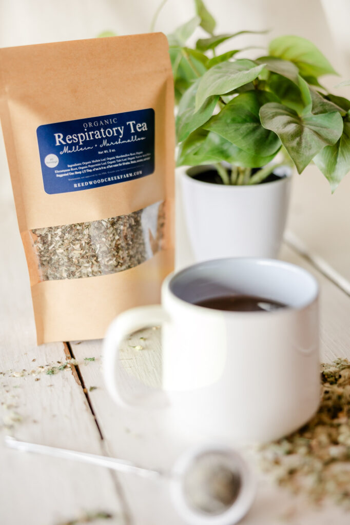 best herbs for immune system