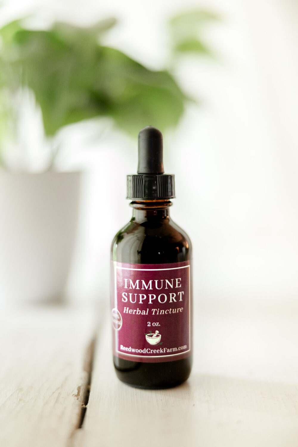 Immune Support Tincture
