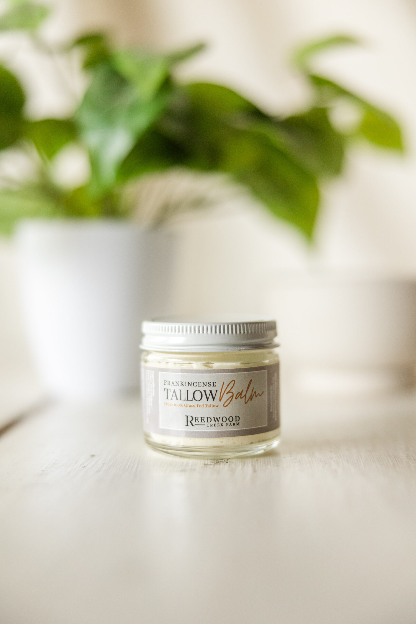 Frankincense Tallow Balm